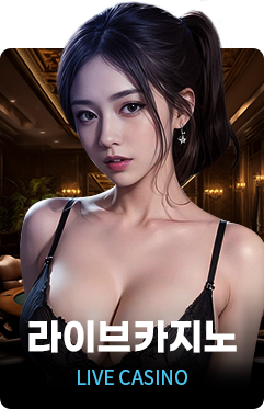 라이브카지노